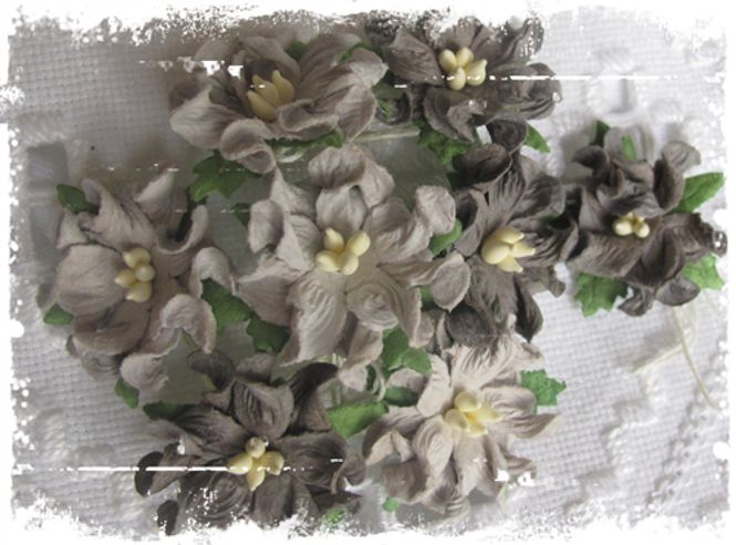 Hovedbilde Små gardenia ,grå (6)