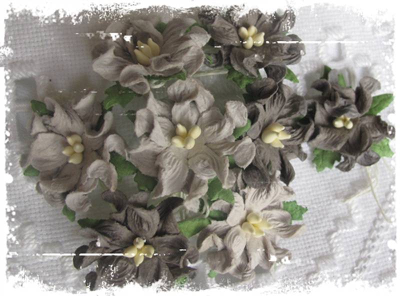 Små gardenia ,grå (6)