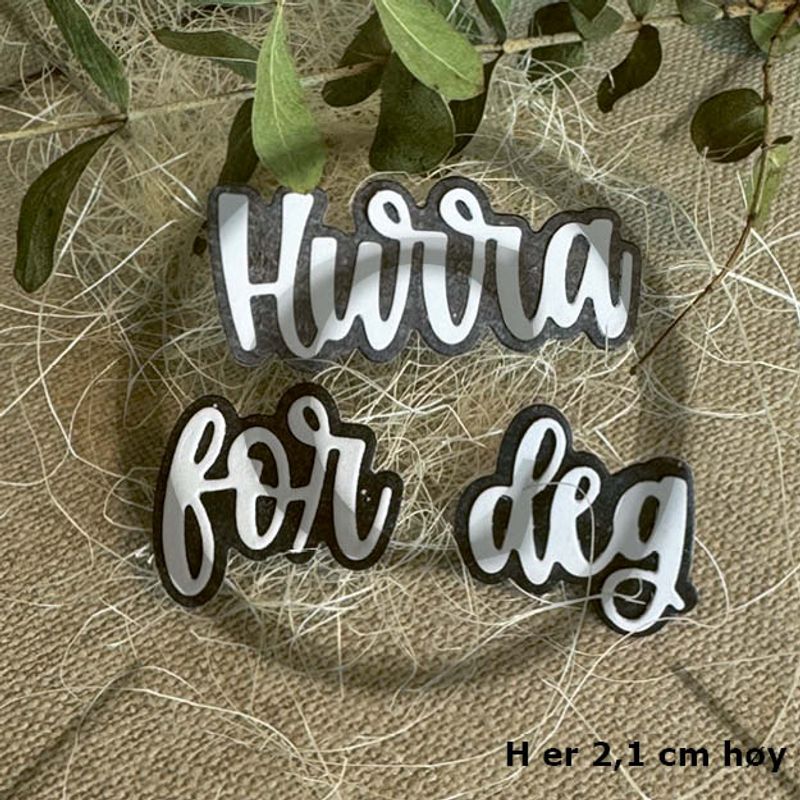 PD1427	Hurra for deg ( 6 dies )