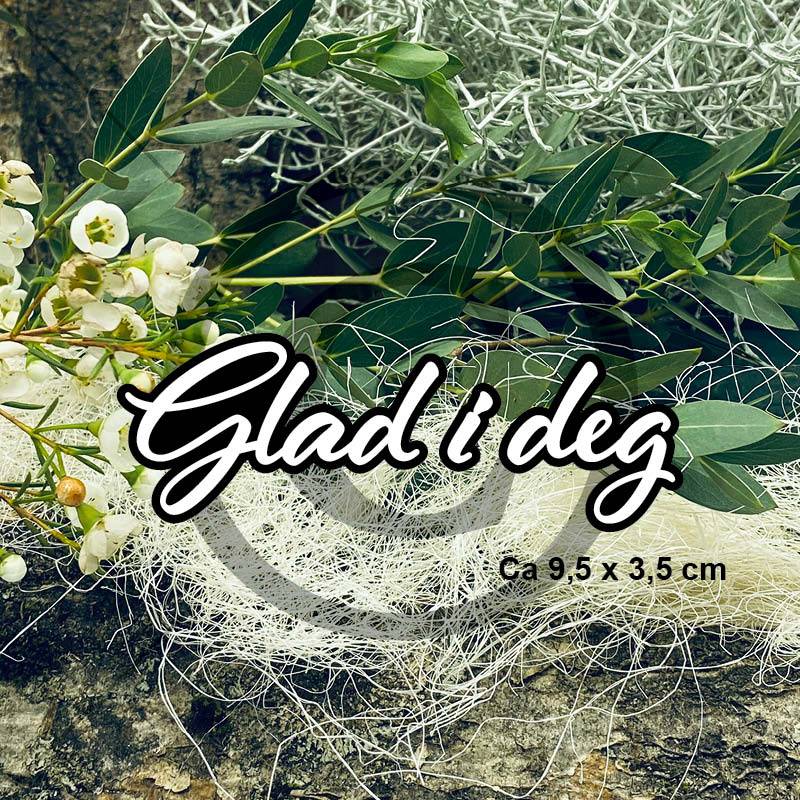 Glad i deg 3 ( 6 dies )