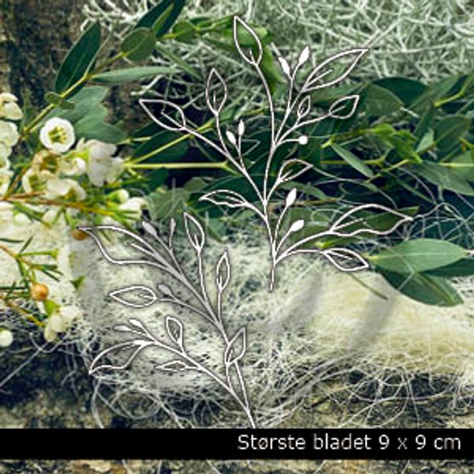 Hovedbilde Blad 7 ( 6 dies )