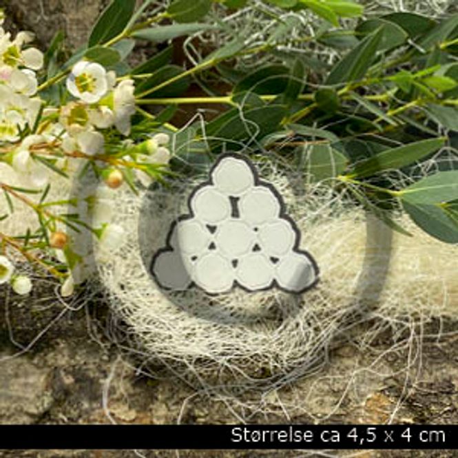 Hovedbilde Snøball ( 6 dies )
