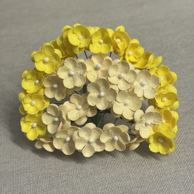 Hovedbilde Søte blomster, gul