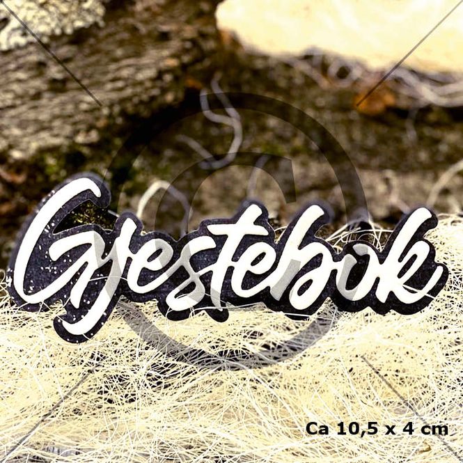 Hovedbilde Gjestebok (6 dies )